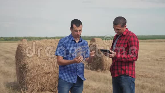 团队农业智慧农业理念两名男性农民工人在数字技术领域研究生活方式干草堆视频的预览图