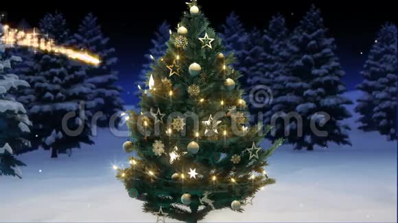 树林里一棵闪亮的圣诞树的三维渲染圣诞快乐概念视频的预览图