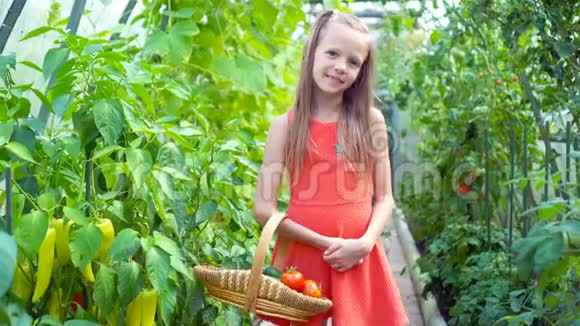 可爱的小女孩在温室里收集作物黄瓜和番茄视频的预览图