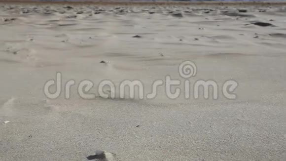 海滩上的太阳镜贝壳和海星高清机动滑块1080便士视频的预览图