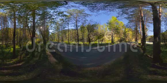 UHD4K360VR虚拟现实美丽的阳光山林景观视频的预览图