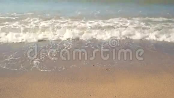 小浪淘沙岸上的水视频的预览图