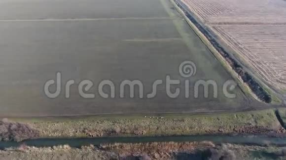 田灌系统下层的渠道水稻种植基础设施视频的预览图
