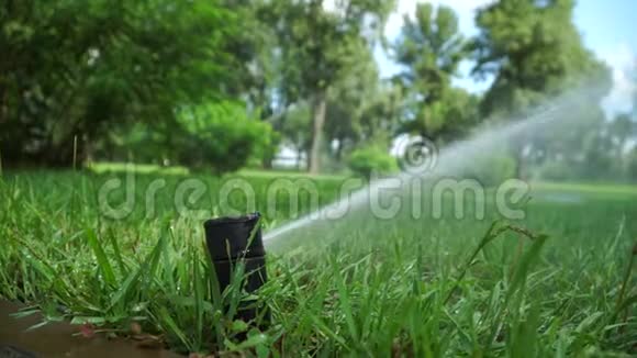 园区洒水系统浇草视频的预览图