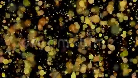 黑色背景上的4k30fps环形金色圆圈视频的预览图