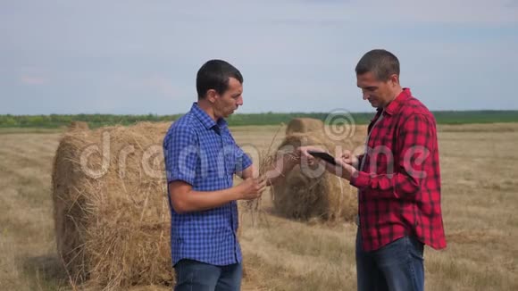 团队农业智慧农业理念两名男子农民工人在数字领域的干草堆上研究生活方式视频的预览图