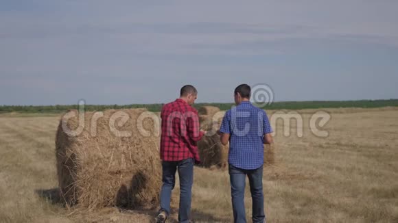 团队农业智慧农业理念两个男的农民工人在田里散步学习干草堆的生活方式视频的预览图