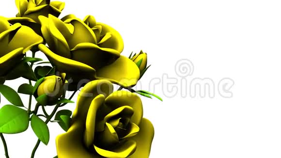 白色文本空间上的黄色玫瑰花束视频的预览图
