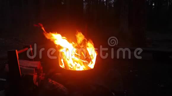 壁炉的火焰视频的预览图