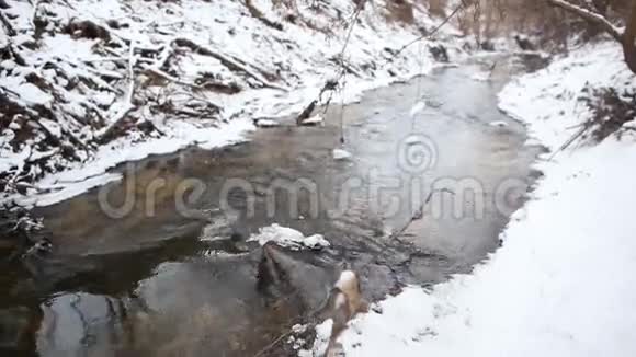 冰水在湍急的泉水中流淌陡峭的溪岸融化的雪视频的预览图