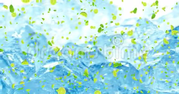 数字水果石灰片树叶动画飞行在新鲜冰块背景视频的预览图