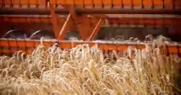 联合收割机在农业领域工作视频的预览图