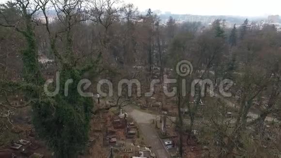 利查基夫公墓利沃夫视频的预览图