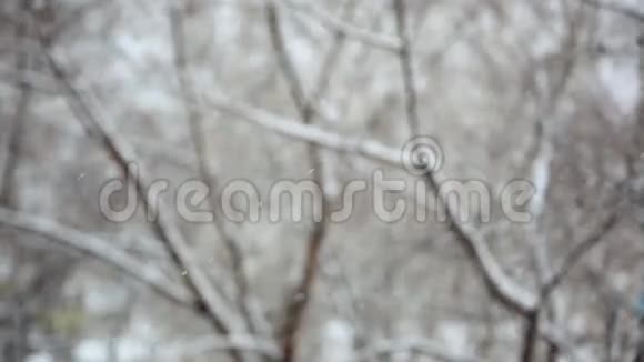 冬季公园背景白雪皑皑视频的预览图