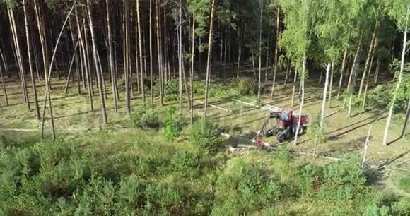 伐木工作伐木机伐木专用设备视频的预览图