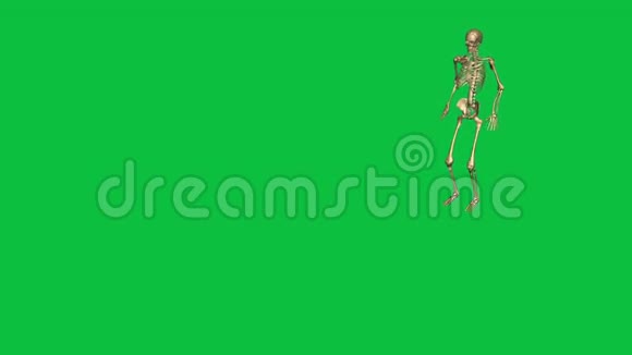 骷髅在绿色屏幕上水平跳跃分开视频的预览图