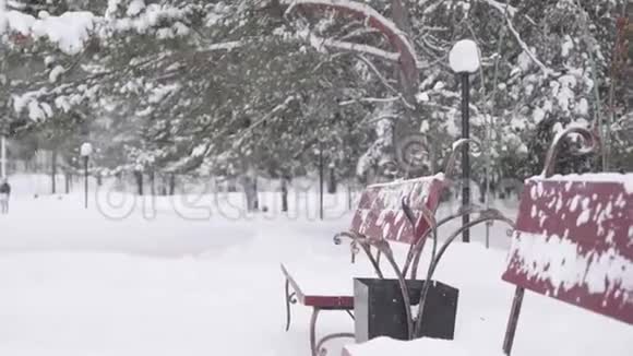 冬天公园下雪冬霜日视频的预览图