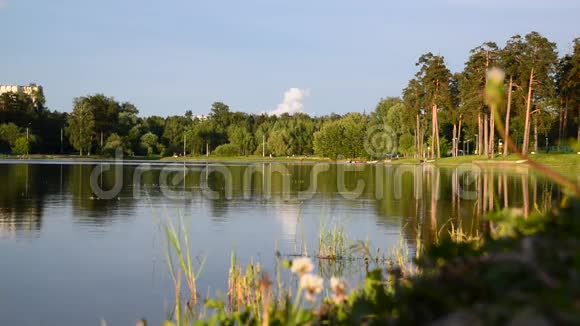 俄罗斯莫斯科Zelenograd地区夕阳下的学校湖视频的预览图