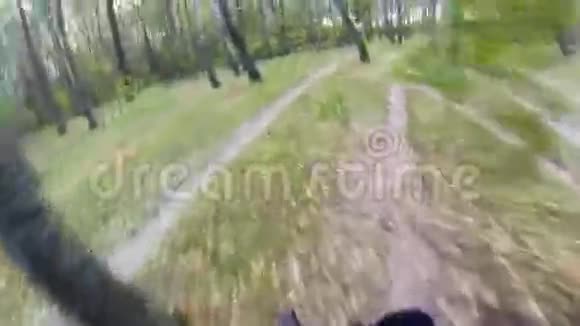 在森林里骑山地车视频的预览图