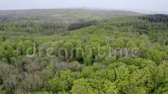 斯瓦比亚森林的鸟瞰图视频的预览图