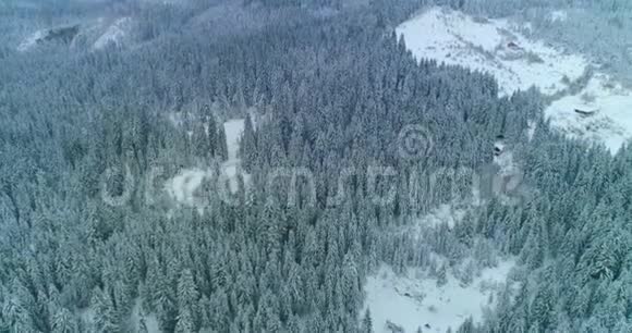 镜头雪覆盖树木冬季大自然美丽的欧洲鸟瞰松林山季节旅行白冻纳图视频的预览图