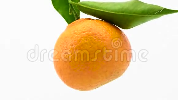 有叶子的橘子旋转视频的预览图