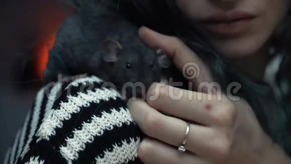 美丽可爱的女孩牵着一只小宠物棕色老鼠的手她拍拍她的吻和微笑青年视频的预览图