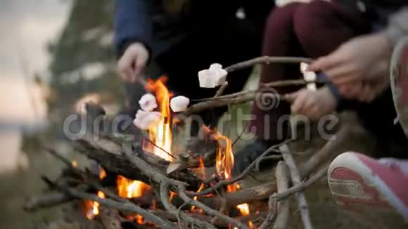 旅途中游客的幸福家庭妈妈和孩子们在帐篷附近的火上煎棉花糖视频的预览图
