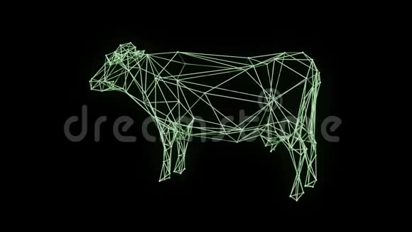 隔离式经典奶牛旋转线框模型视频的预览图