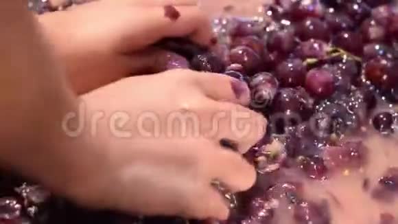 葡萄水果家庭葡萄酒加工彻底粉碎水果与许多年轻女性徒手视频的预览图