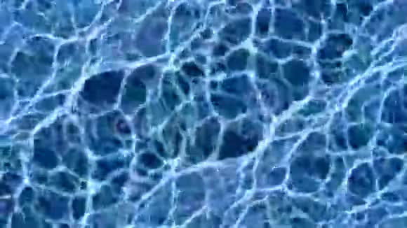 蓝色逼真的水中焦虫慢镜头无缝环视频的预览图