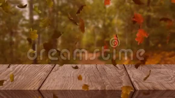 树叶落下视频的预览图