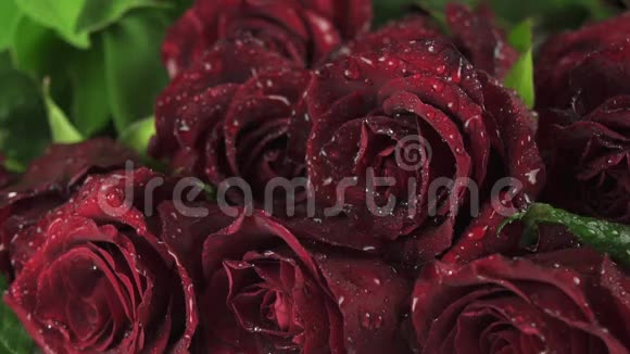 美丽的红玫瑰花束上的雨水慢镜头录像视频的预览图