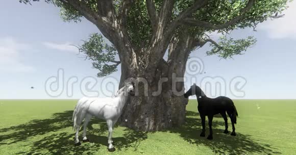 大树下4K白马和黑马蝴蝶和鸟飞蒲公英视频的预览图