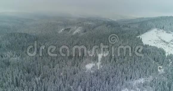 镜头雪覆盖树木冬季大自然美丽的欧洲鸟瞰松林山季节旅行白冻纳图视频的预览图