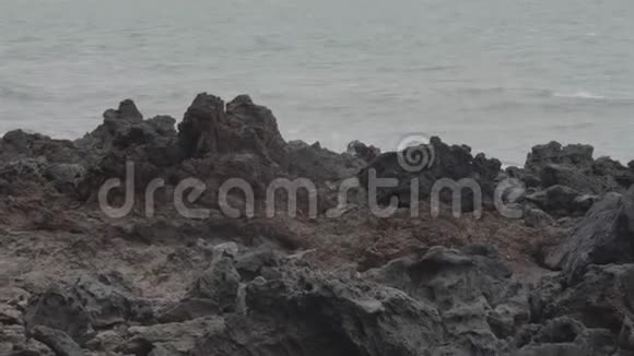 海滩上有海背景的岩石视频的预览图