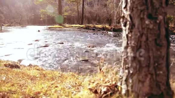 多利滑块拍摄了在森林附近的一条山河里飞溅的水潮湿的岩石和阳光水平稳定视频的预览图