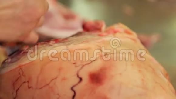 割肉视频的预览图