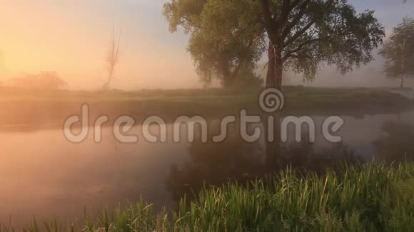 在一条美丽的春河上雾蒙蒙的黎明视频的预览图