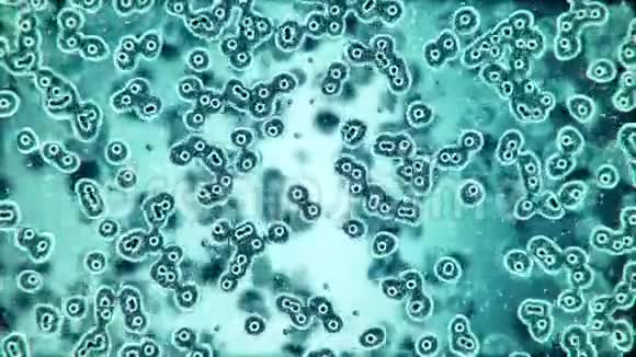 微型平板细菌繁殖本身4K视频的预览图