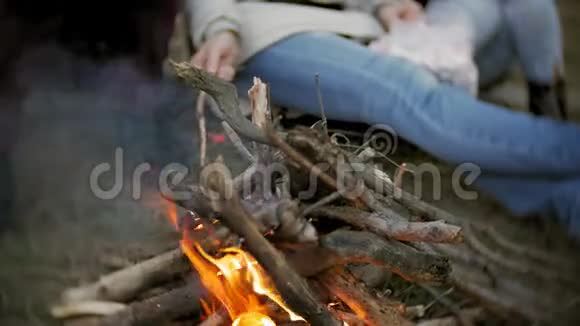旅途中游客的幸福家庭妈妈和孩子们在帐篷附近的火上煎棉花糖视频的预览图