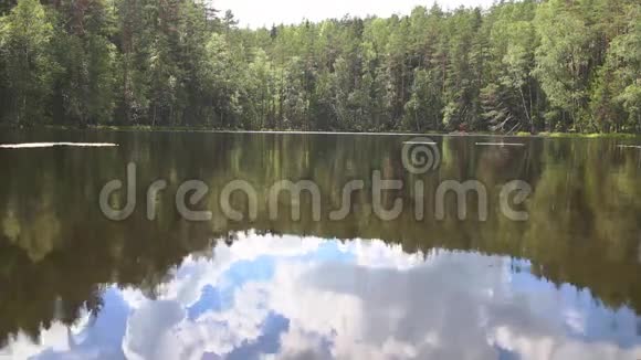 湖中森林的倒影视频的预览图