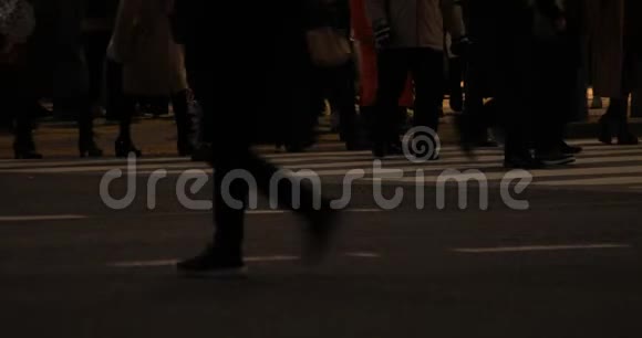 在Shibuya横道的夜间行走视频的预览图