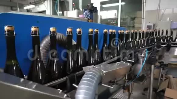工厂的瓶装和密封输送线视频的预览图