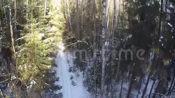 冬林空中场景视频的预览图