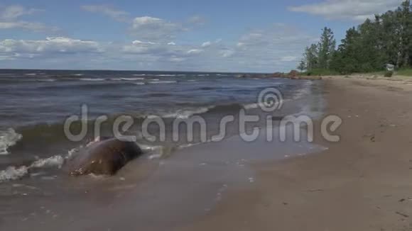 在风和日丽的夏日沿着波罗的海沿岸漫步视频的预览图