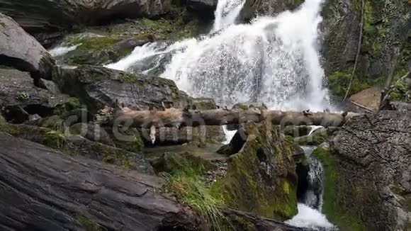 阿尔泰山的瀑布视频的预览图