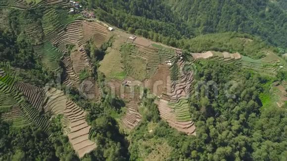 菲律宾卢松山区农田视频的预览图