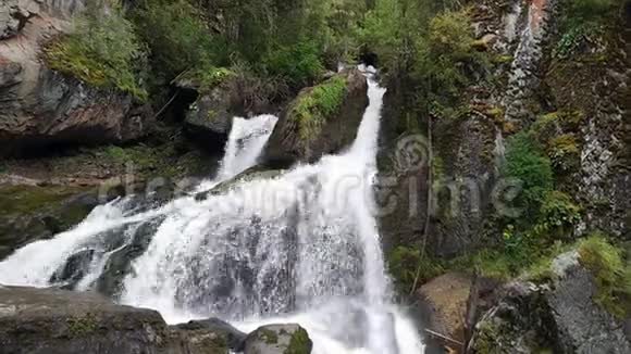 阿尔泰山的瀑布视频的预览图