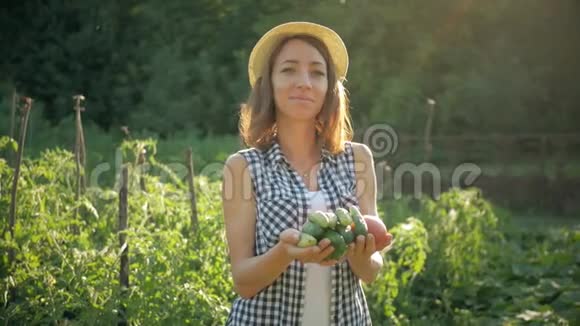 菜园里种菜的农家女孩收获时间家庭农场主有机食品的概念视频的预览图